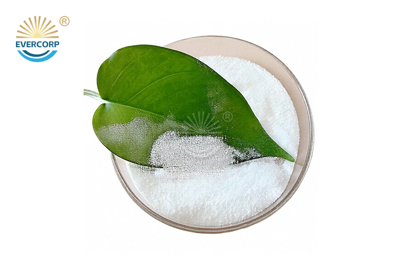 Sodium Gluconate Powder